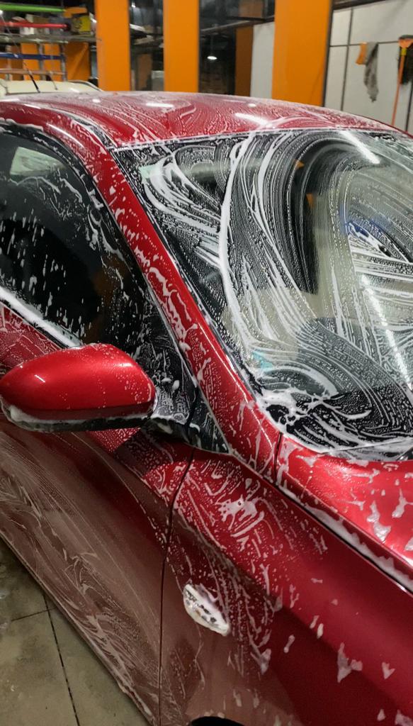 LUXY CAR DETAILING PRO